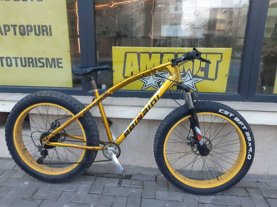 Bicicleta Beinaiqi (M1) StarAmanet