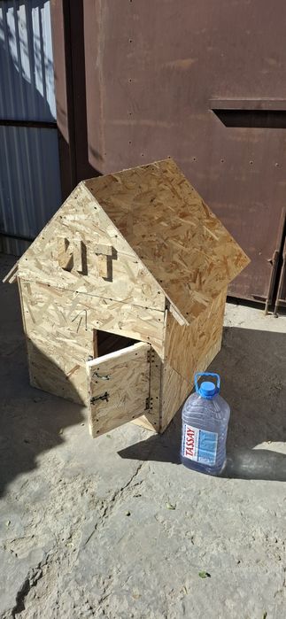 Ит ке арналған бутка