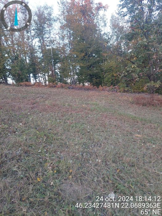 Vând 2.9 ha teren chisindia sat vasoaia/pret pe hectar