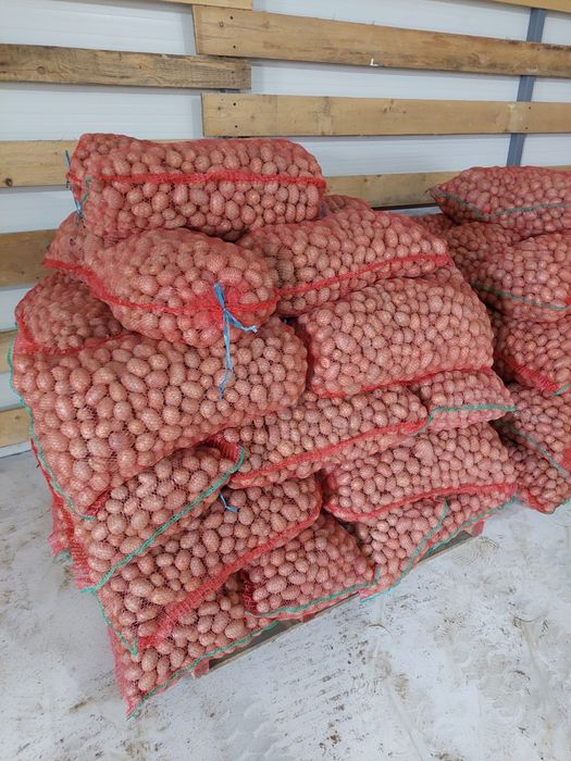 Cartofi pentru animale