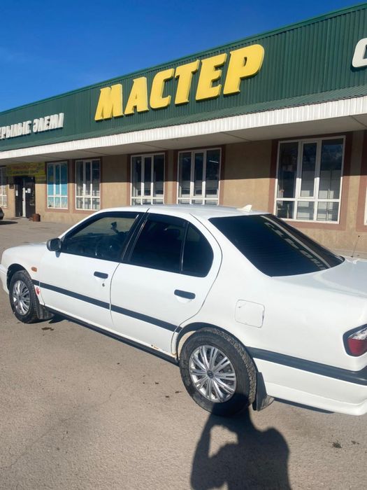 Nissan Primera 1995 года
