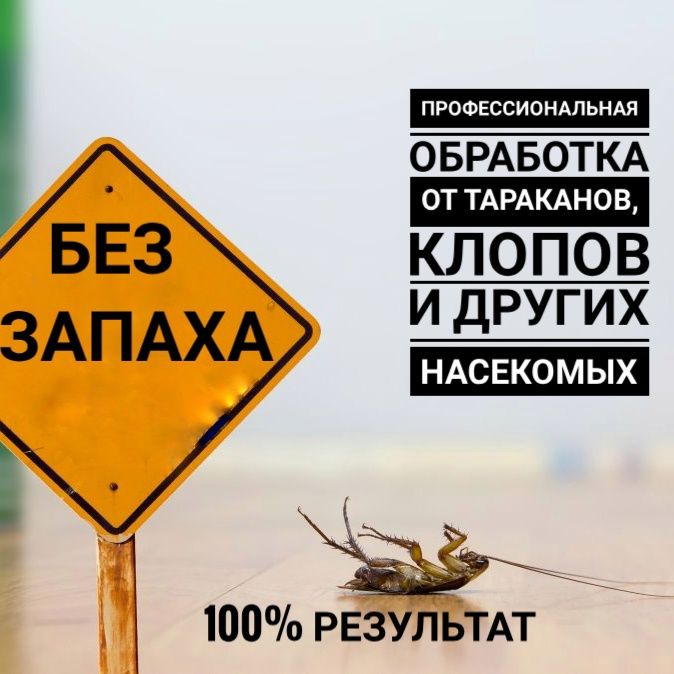 Дезинфекция! Уничтожение клопов/клопы, тараканов/тараканы, грызунов.