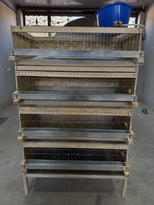 Bedana qafas hamda buruderlar bor