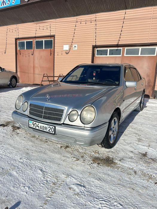 Мерседес лупарик