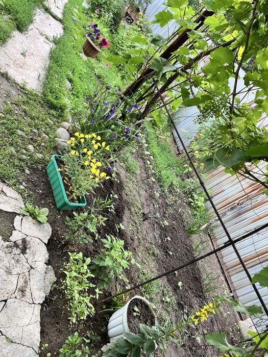 Продам дом в Талгаре