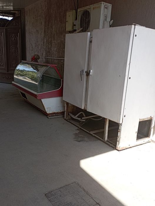 Kamera yonida veterinasi bilan