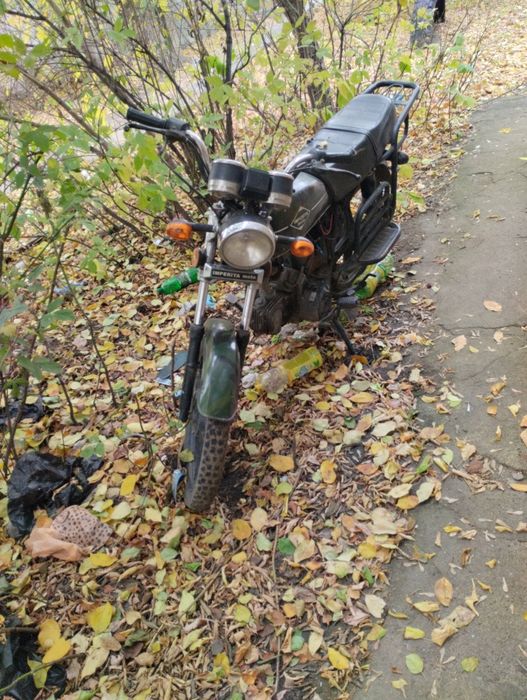 Альфа в хорошем состояние