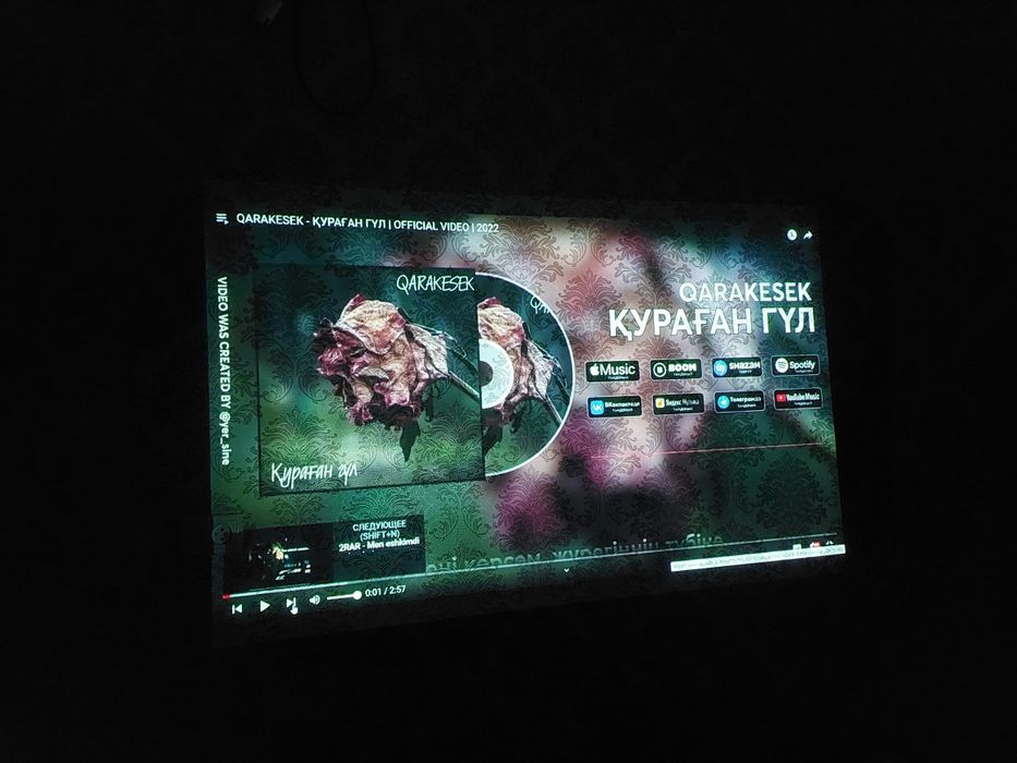 Аренда проектора. Проектор с экраном