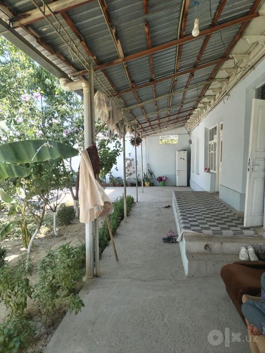Toshkent tumani hasanboy po'stidan 100 metir kirganda yer 13.5 sutu
