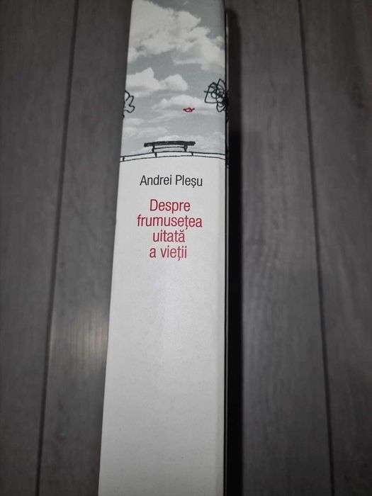 Despre frumusetea uitata a vietii - Andrei Plesu - Carte