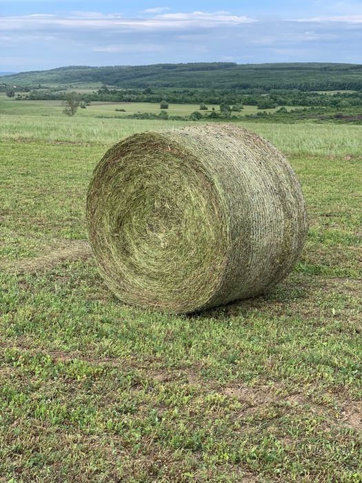 Timis, La 7km de A1 Asociere in locatie rurala multifunctionala