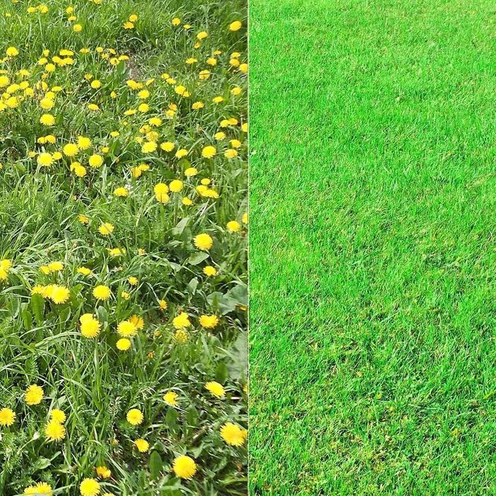 Комплексный уход за газоном и хвойными.