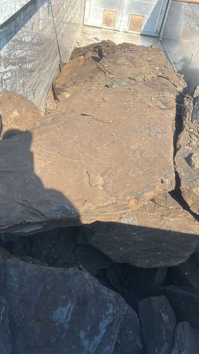 Depozit de Cărbune Lignit