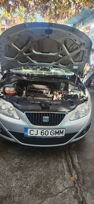 SEAT Ibiza 2009 — imagine 5