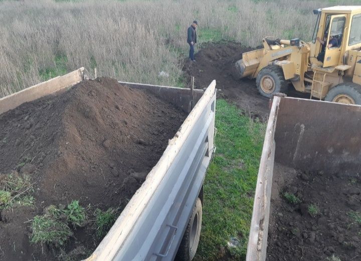 Навоз и чернозем