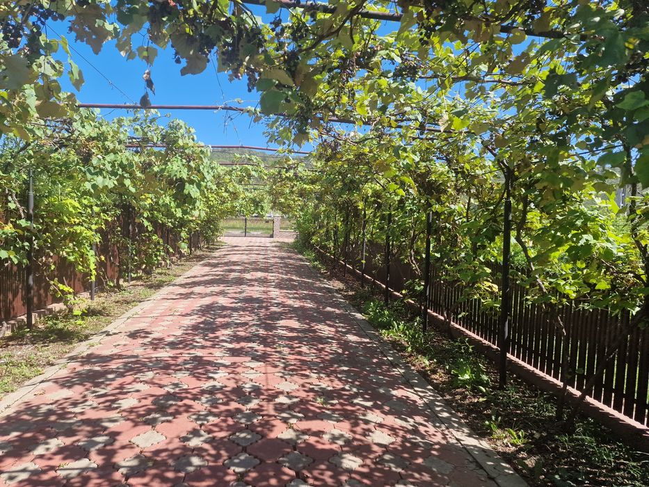 Casa/Vilă Buhoci,județul Bacău