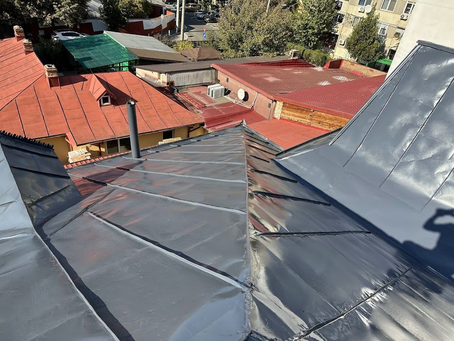 Vopsim Acoperișuri, Streașină și Garduri
