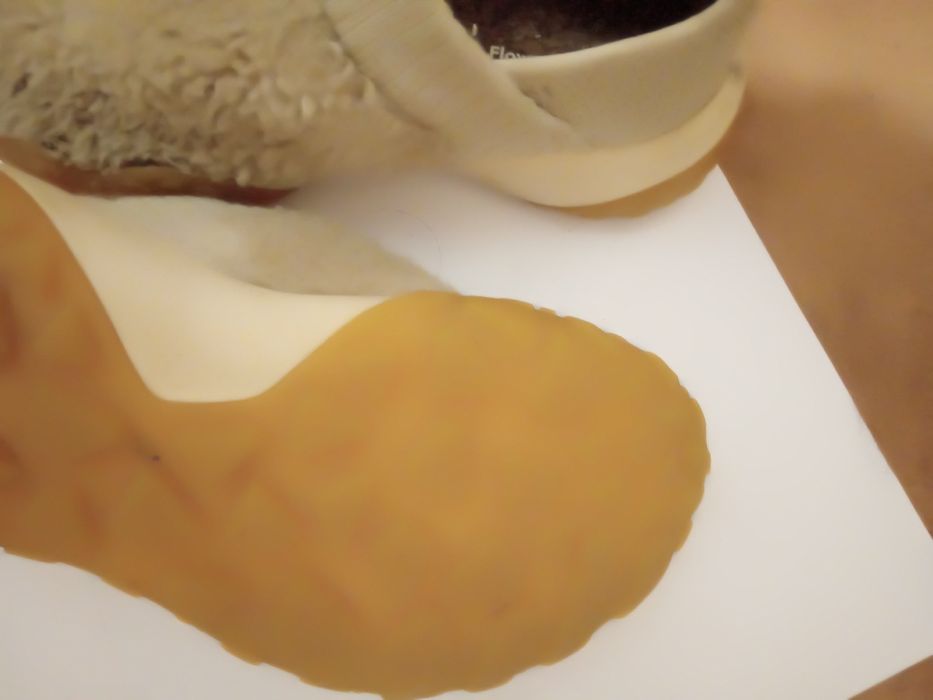 Детски обувки ,10лв само днес