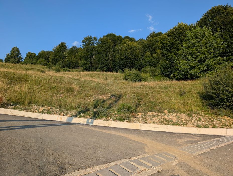 Teren 3000 mp Runcu - Ideal Cabană sau Proiect Turistic | Zona Lilea