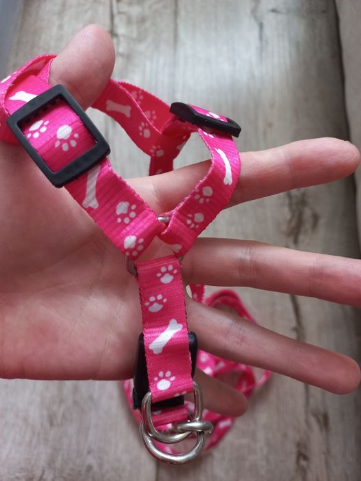 Поводок для маленьких питомцев