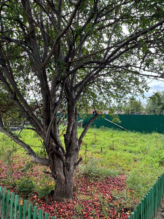 Продается отличный ДОМ