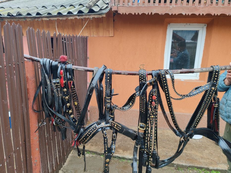 Ham de vânzare  din piele de Brașov