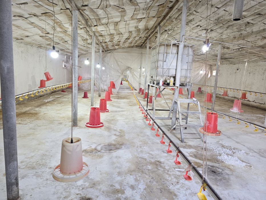 Карамол учун ферма   товук ферма  фабрика