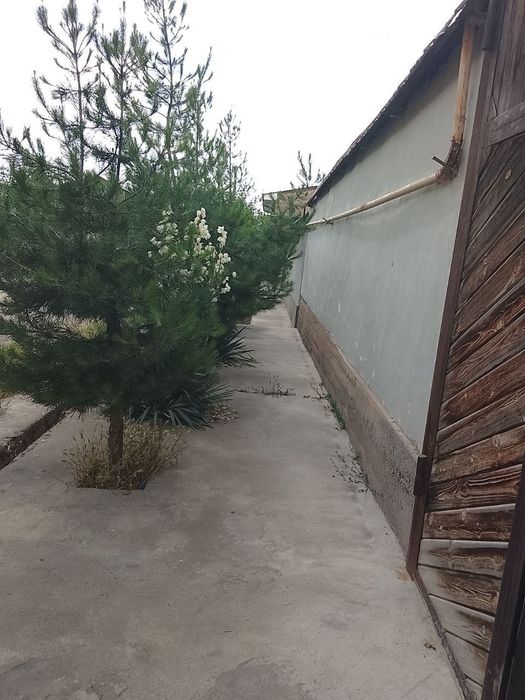 Nazarbek 3 sotik yer sirchni sotiladi