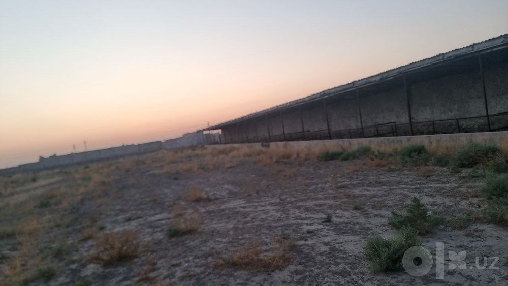 Navoiy shahri Tinchlik shaharchasidan2.65gektarjoyibormolxona sotiladi