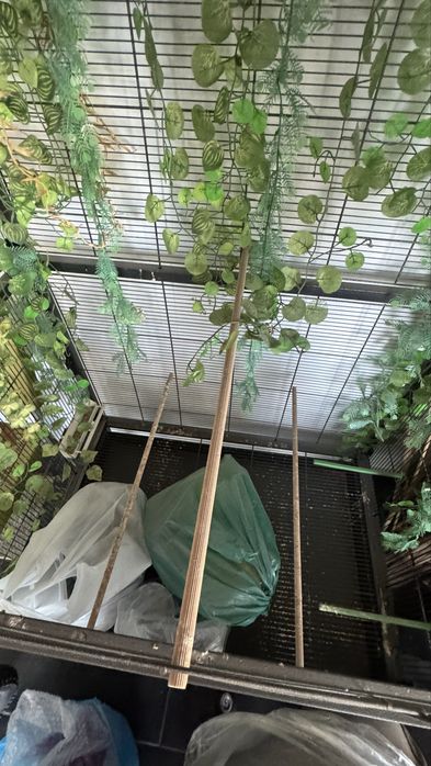 Voliera mare papagali, cinteze, canari