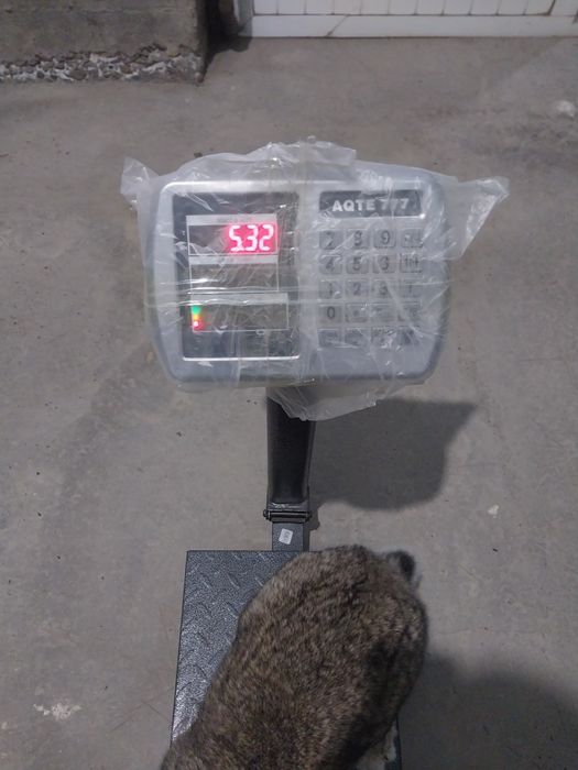 Velekan quyon sotiladi