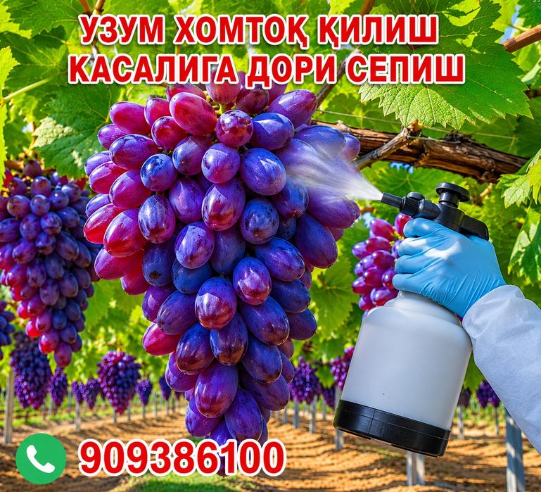 Bogbon xizmati БОГБОН хизмати