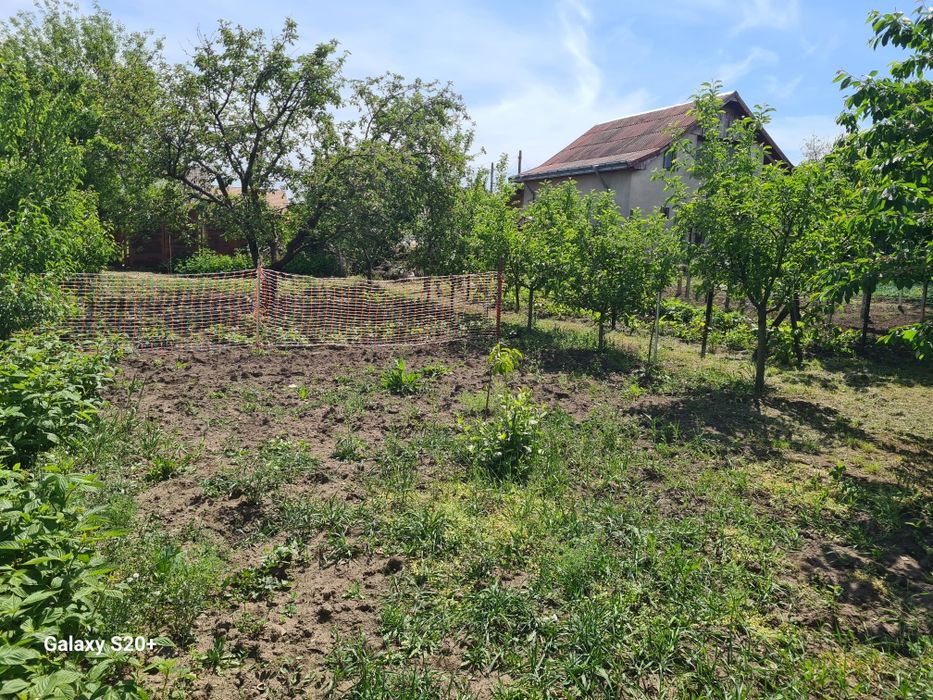 Teren intravilan și casă