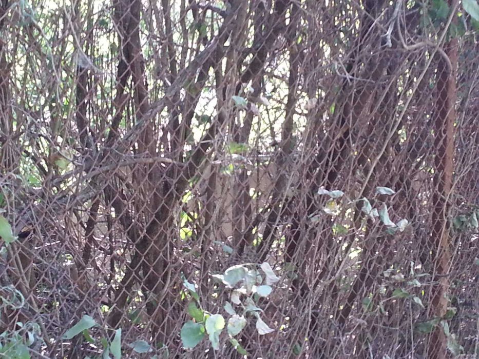 Продава се Парцел в София, Люлин 1 - 580 кв.м за 25 €/кв.м - Снимка #2