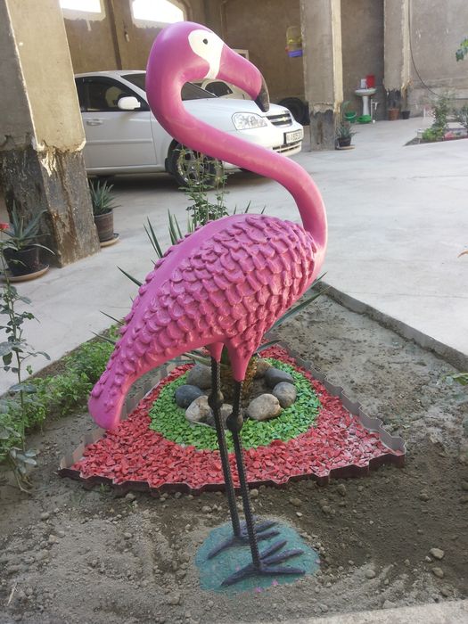 Фламинго. В  хорошем  виде.