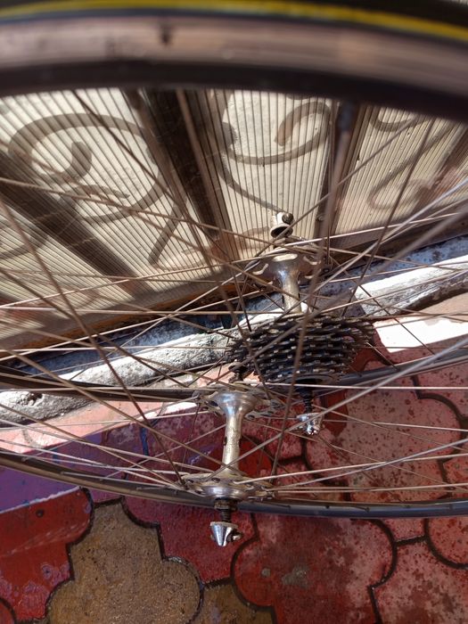 Roti  cursiera Campagnolo record
