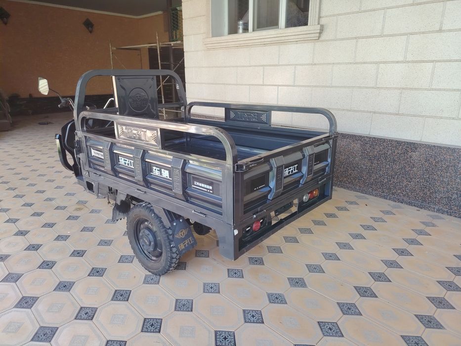 Трицыкол муравей