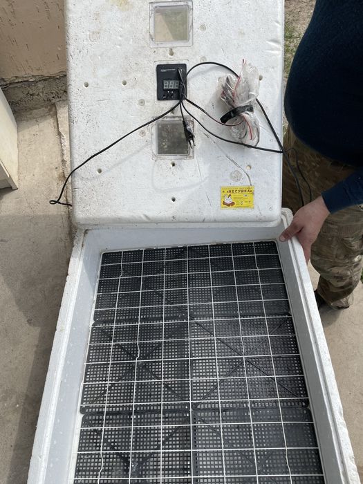 Инкубатор бытовой «Несушка»