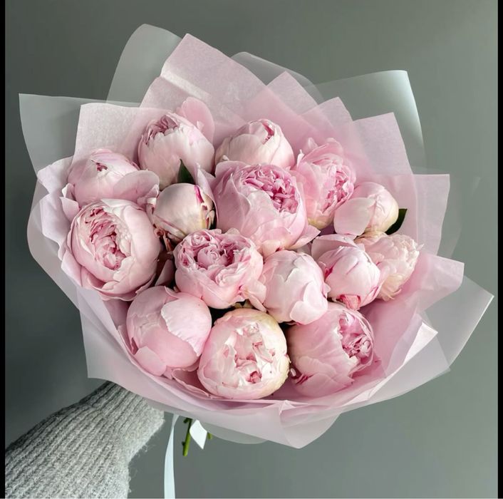 Пионы букет/корзина АСТАНА