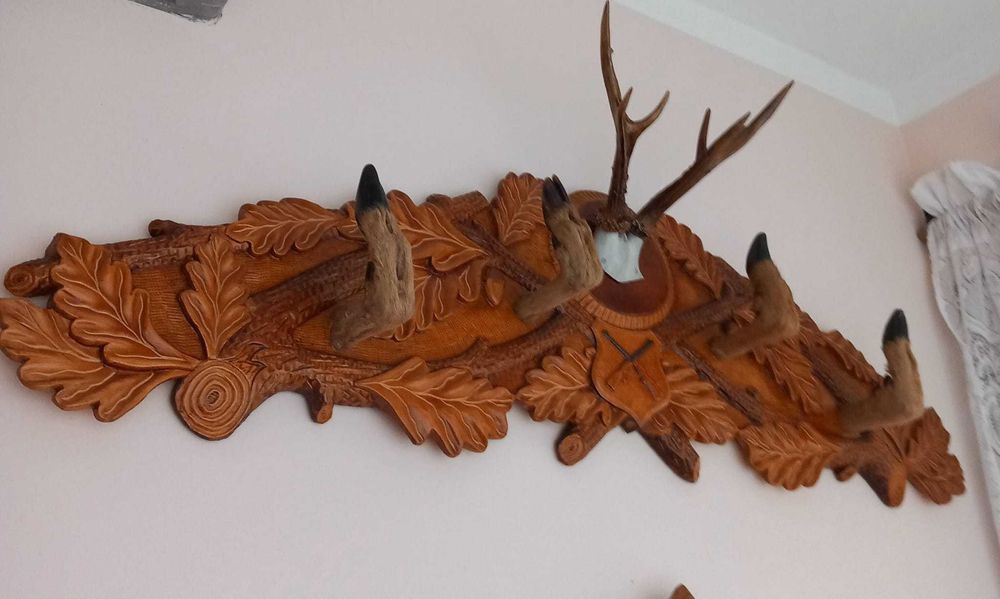 Cuier coarne caprior