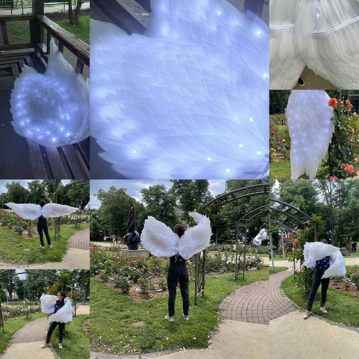 Крила за танци, шоу програми и фотосесии