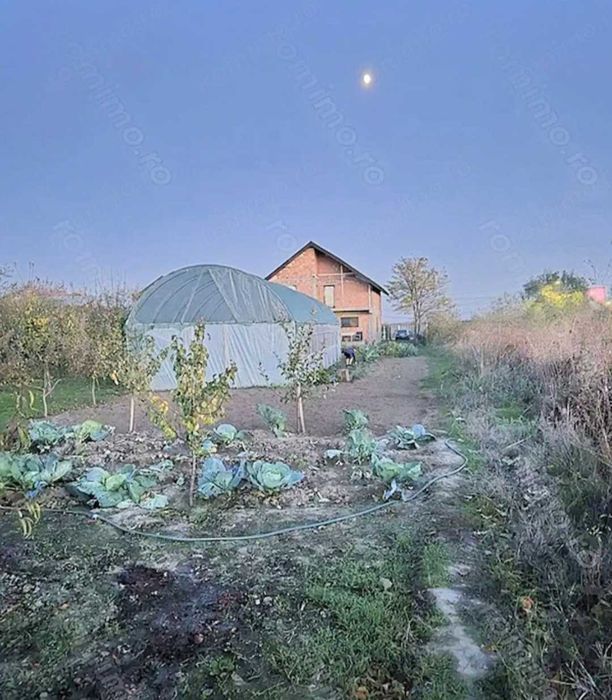 Vând vilă Varlaam Adunații Copăceni Giurgiu