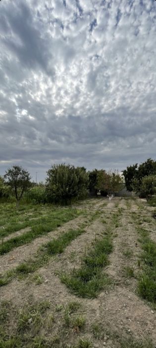 Сергели земля 16 соток