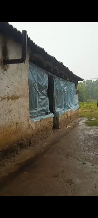 Dalahovli qilish niyatida bôlganlar uchun keng maydonli yer