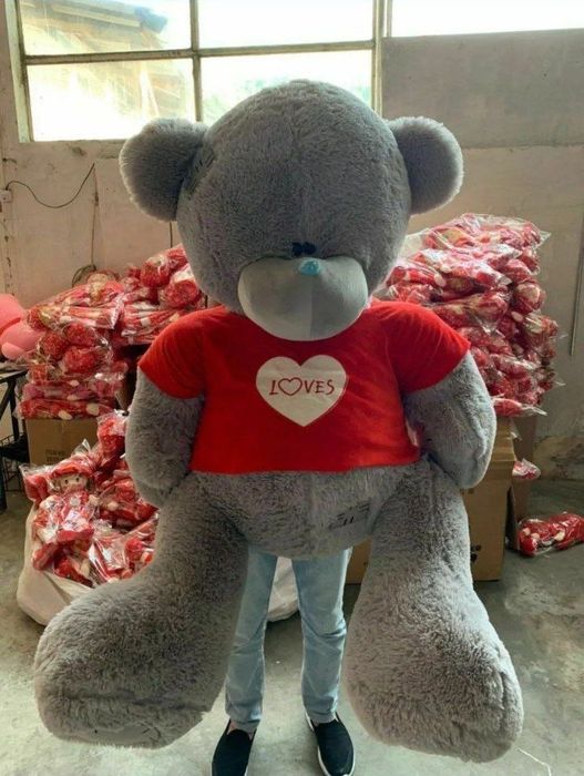 Teddy Тедди  Yumshoq oyinchoqlar (30sm 3m)