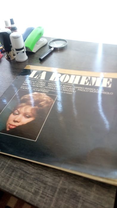 Vand doua discuri de vinil