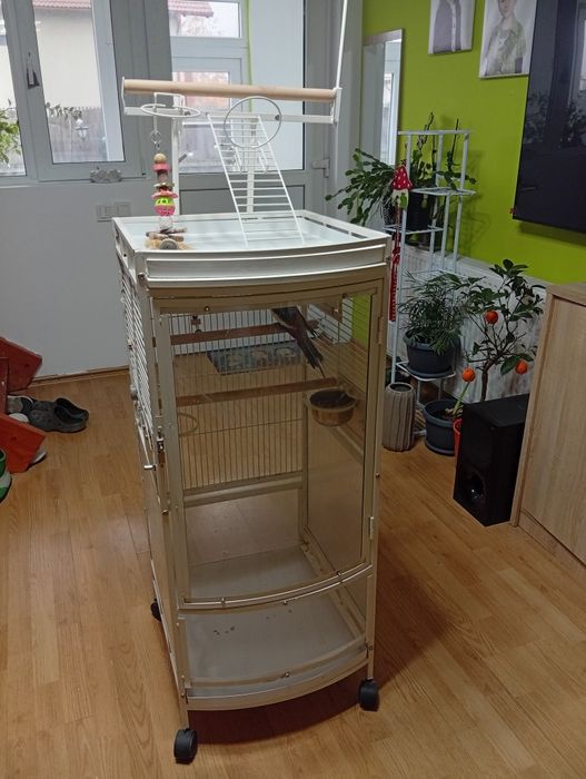 Colivie păsări foarte frumoasa și incapatoare