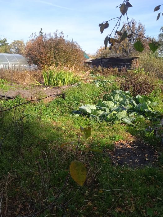 Продам дачу с/о "Веснянка"