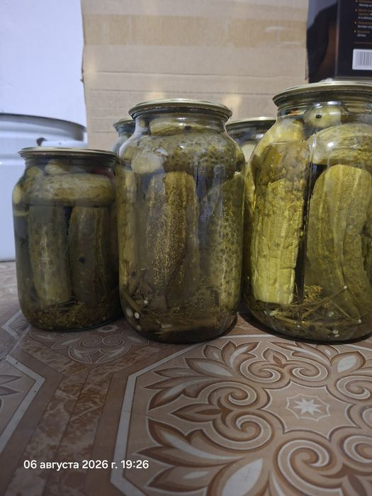 Продам огурцы Солёные