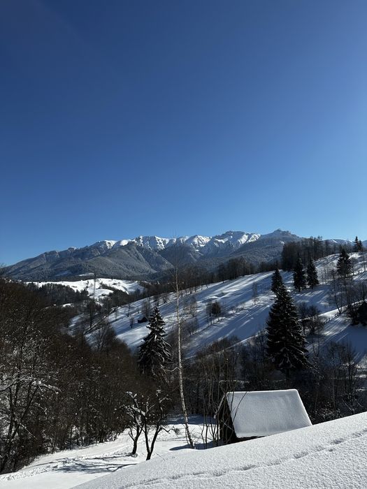 Teren Simon Bran 2.9ha, vedere panoramica, acte la zi